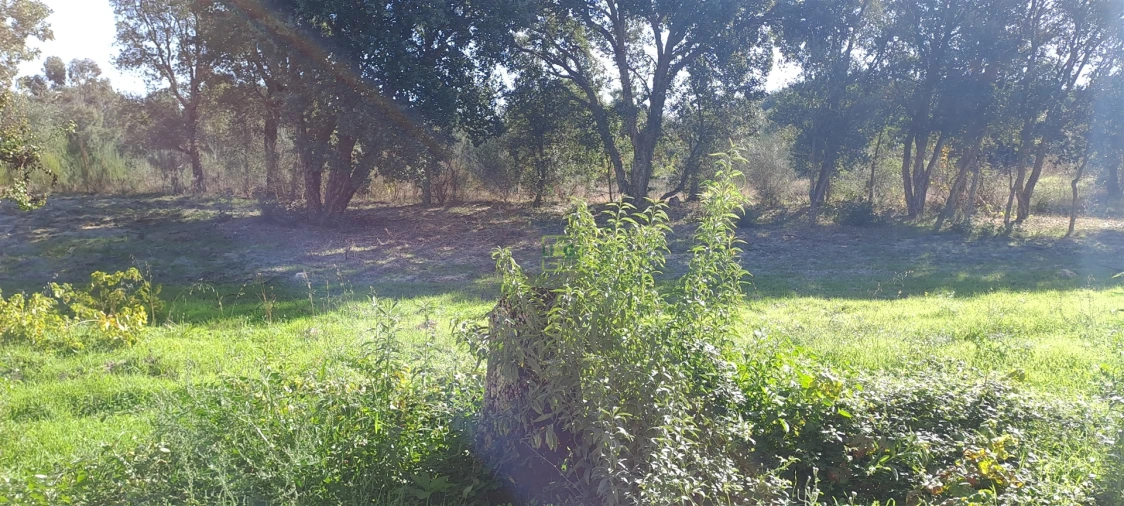 Terreno Agricola ou Rústico para Venda em Aldeia do Bispo, Águas e Aldeia de João Pires Foto 12
