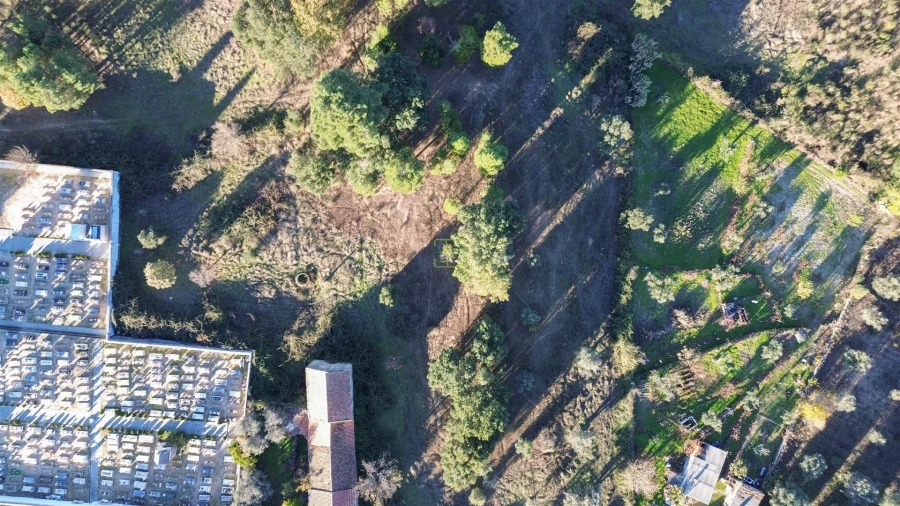 Terreno Agricola ou Rústico para Venda em Aldeia do Bispo, Águas e Aldeia de João Pires Foto 23