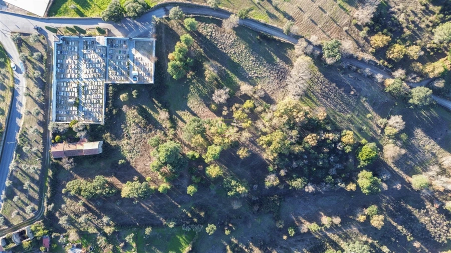 Terreno Agricola ou Rústico para Venda em Aldeia do Bispo, Águas e Aldeia de João Pires Foto 31