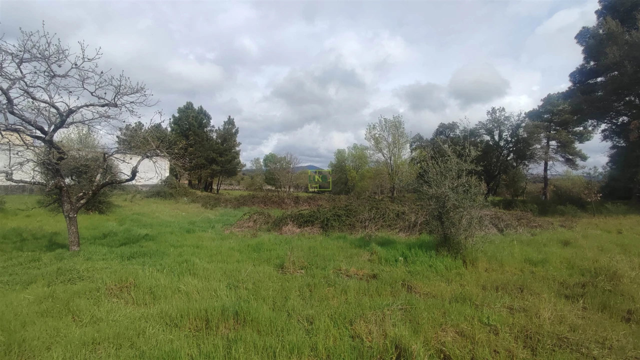 Terreno Agricola ou Rústico para Venda em Aldeia do Bispo, Águas e Aldeia de João Pires Foto 22