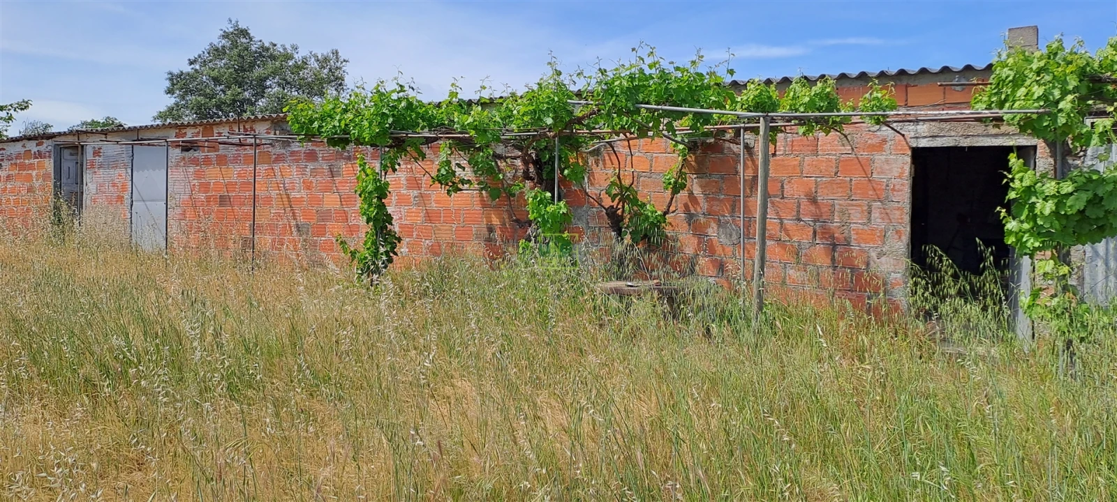 Terreno Agricola ou Rústico para Venda em Toulões Foto 3