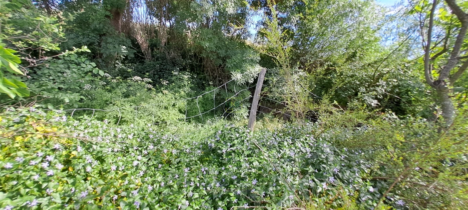 Terreno Agricola ou Rústico para Venda em Toulões Foto 25