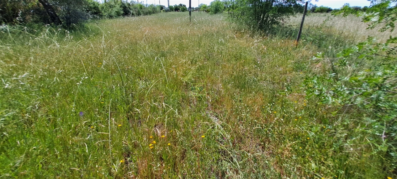 Terreno Agricola ou Rústico para Venda em Toulões Foto 27