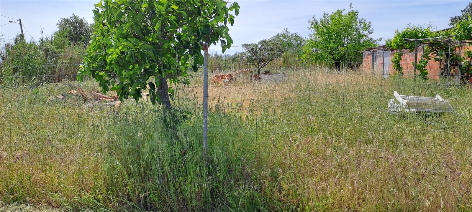 Terreno Agricola ou Rústico para Venda em Toulões Foto 18