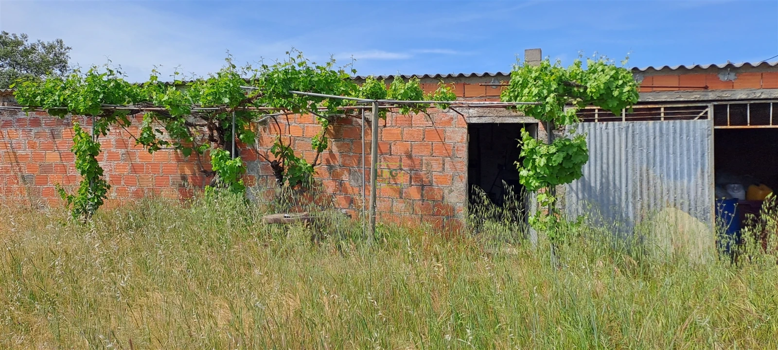 Terreno Agricola ou Rústico para Venda em Toulões Foto 2