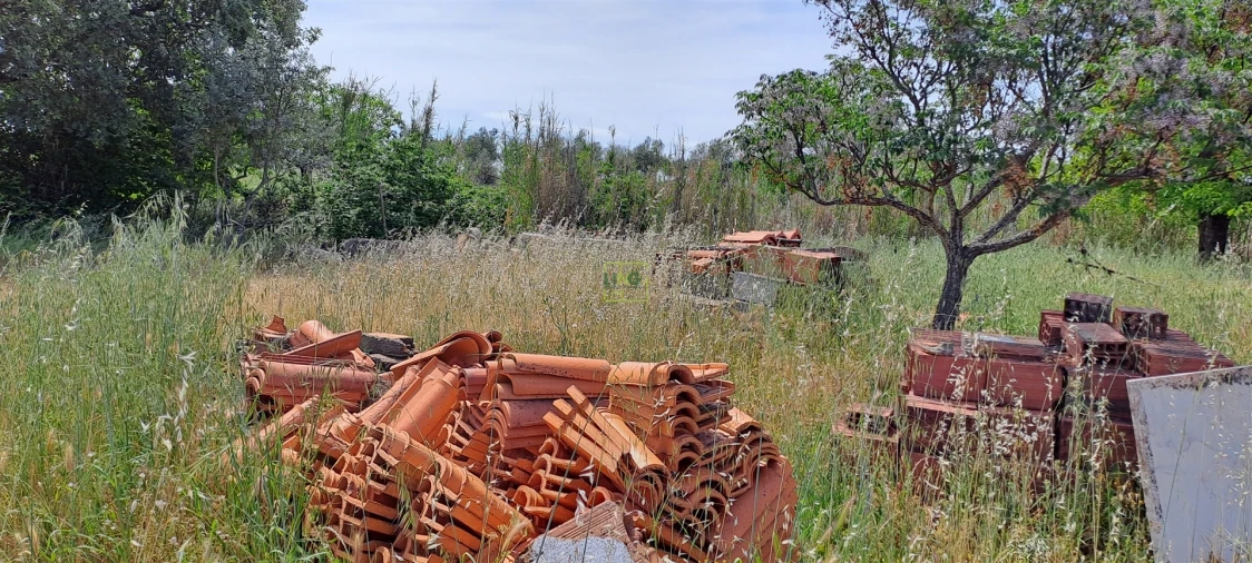 Terreno Agricola ou Rústico para Venda em Toulões Foto 5
