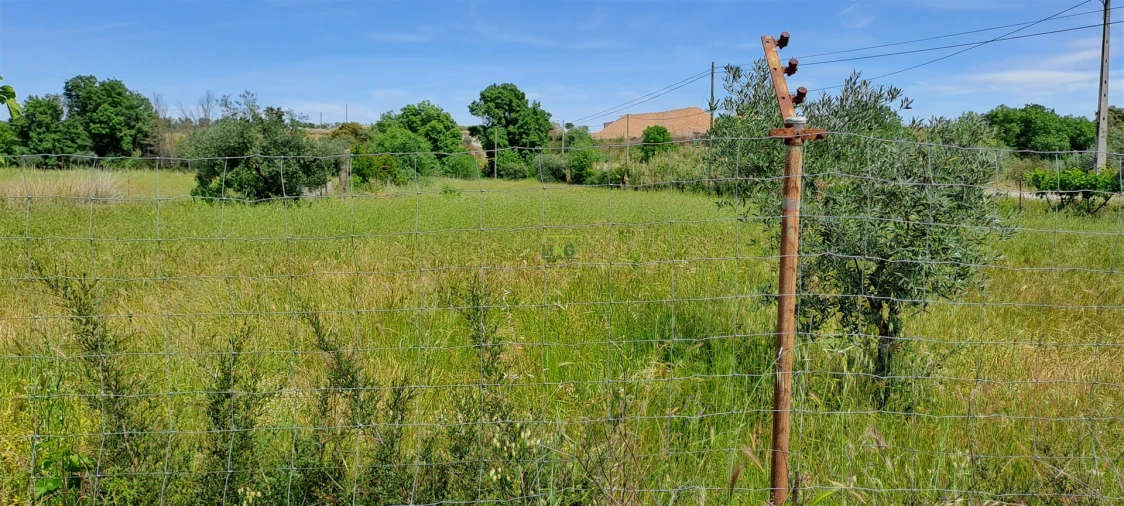 Terreno Agricola ou Rústico para Venda em Toulões Foto 17