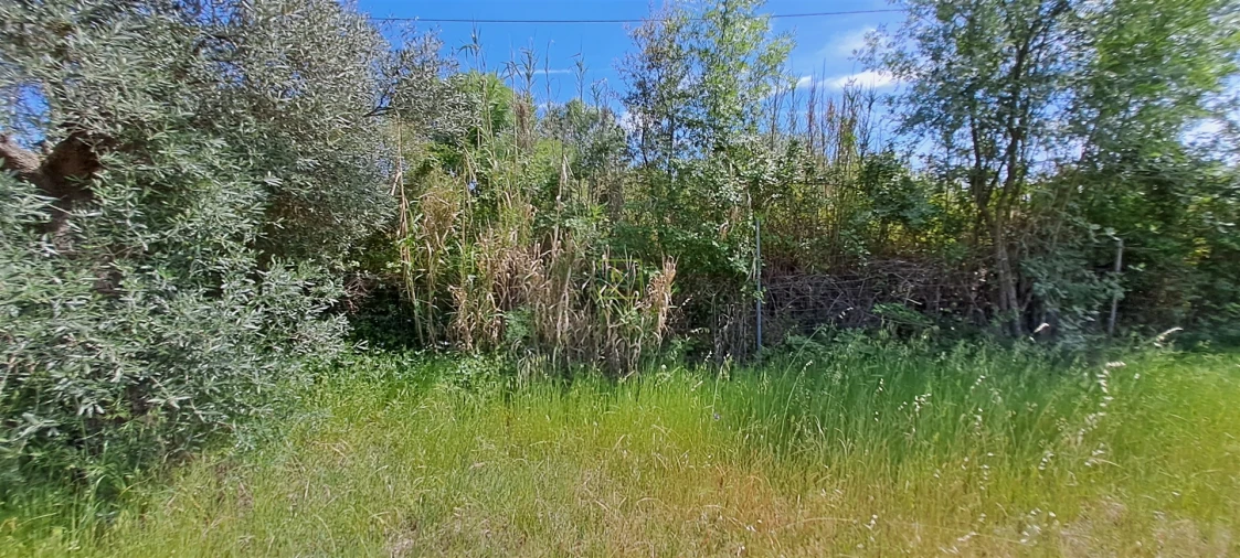 Terreno Agricola ou Rústico para Venda em Toulões Foto 24