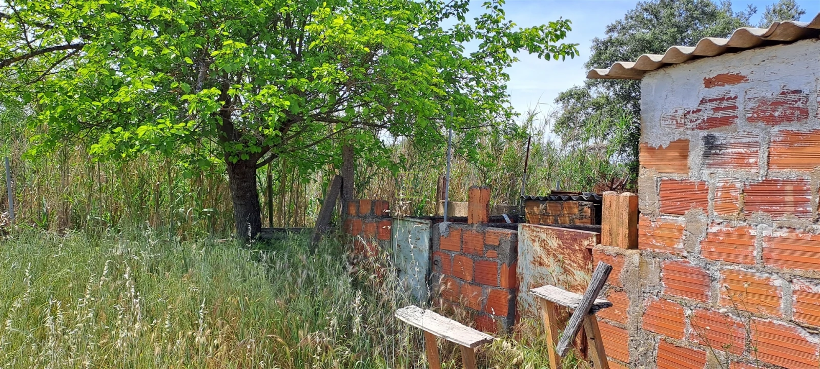 Terreno Agricola ou Rústico para Venda em Toulões Foto 7