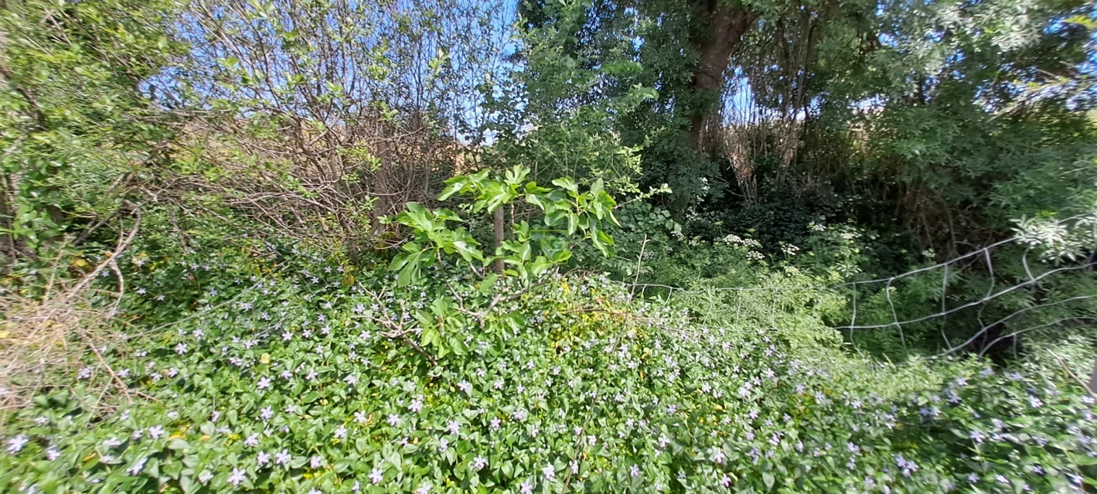 Terreno Agricola ou Rústico para Venda em Toulões Foto 26