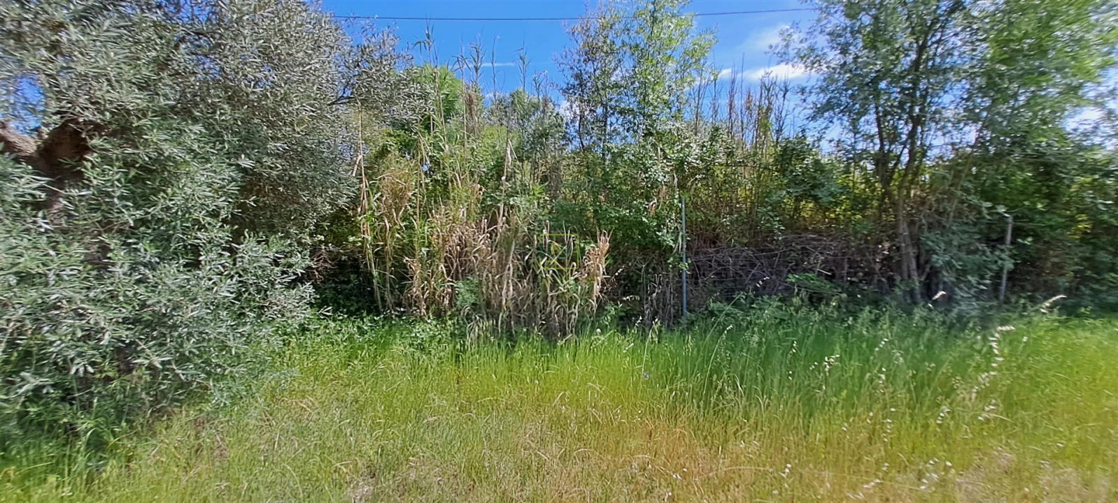 Terreno Agricola ou Rústico para Venda em Toulões Foto 24