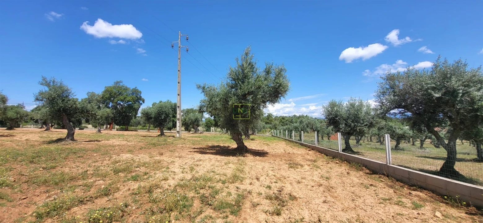 Terreno Agricola ou Rústico para Venda em Freixial e Juncal do Campo Foto 13
