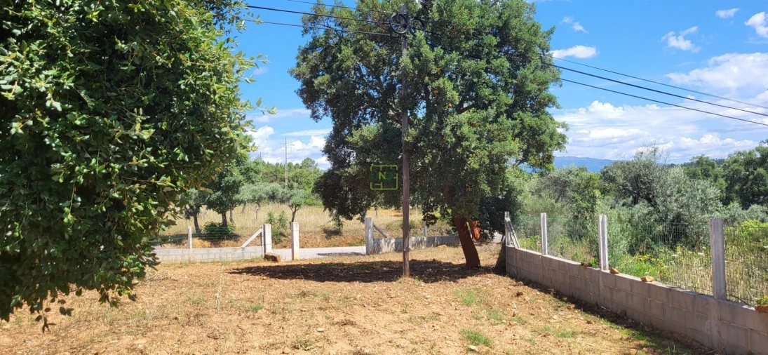 Terreno Agricola ou Rústico para Venda em Freixial e Juncal do Campo Foto 11