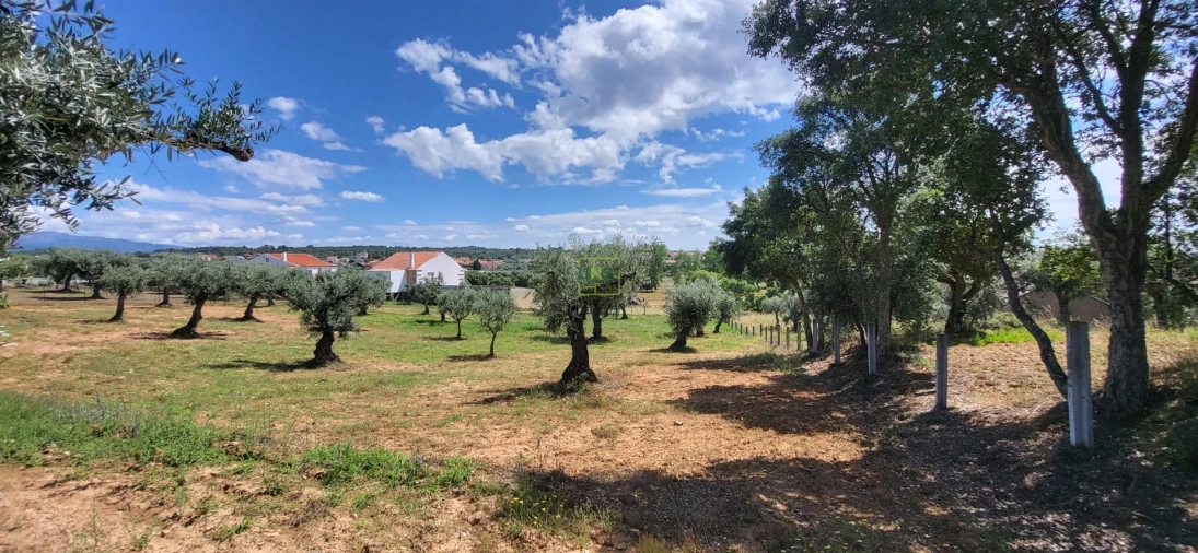 Terreno Agricola ou Rústico para Venda em Freixial e Juncal do Campo Foto 21