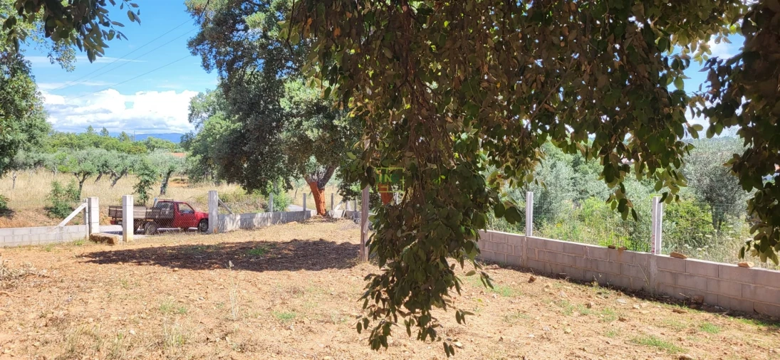 Terreno Agricola ou Rústico para Venda em Freixial e Juncal do Campo Foto 12