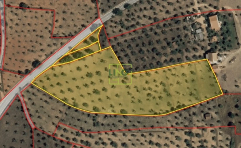 Terreno Agricola ou Rústico para Venda em Freixial e Juncal do Campo Foto 23