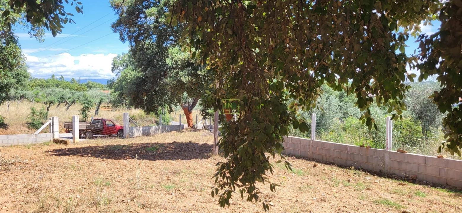 Terreno Agricola ou Rústico para Venda em Freixial e Juncal do Campo Foto 12