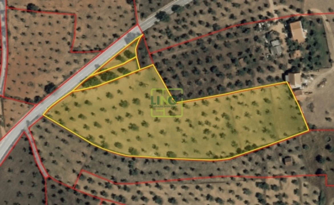 Terreno Agricola ou Rústico para Venda em Freixial e Juncal do Campo Foto 23