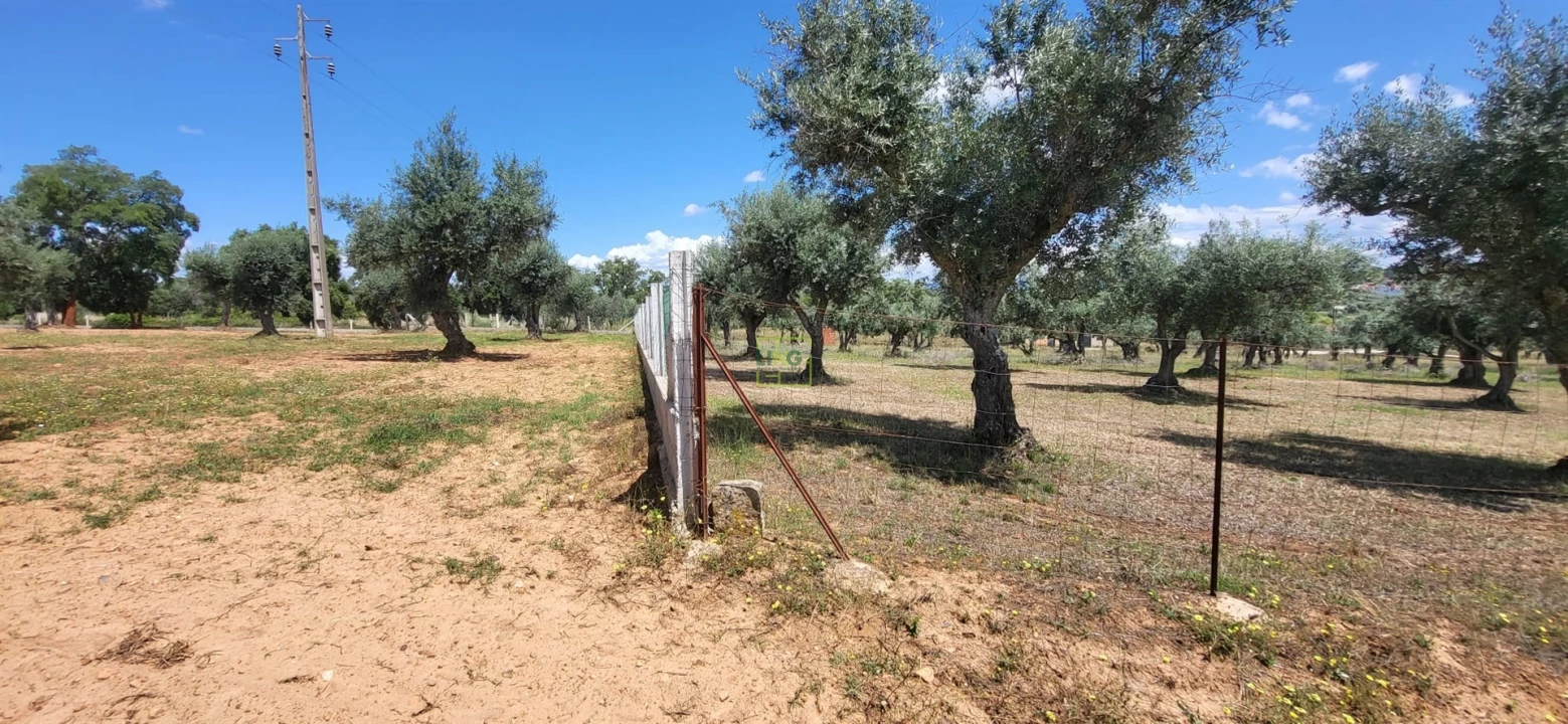 Terreno Agricola ou Rústico para Venda em Freixial e Juncal do Campo Foto 15