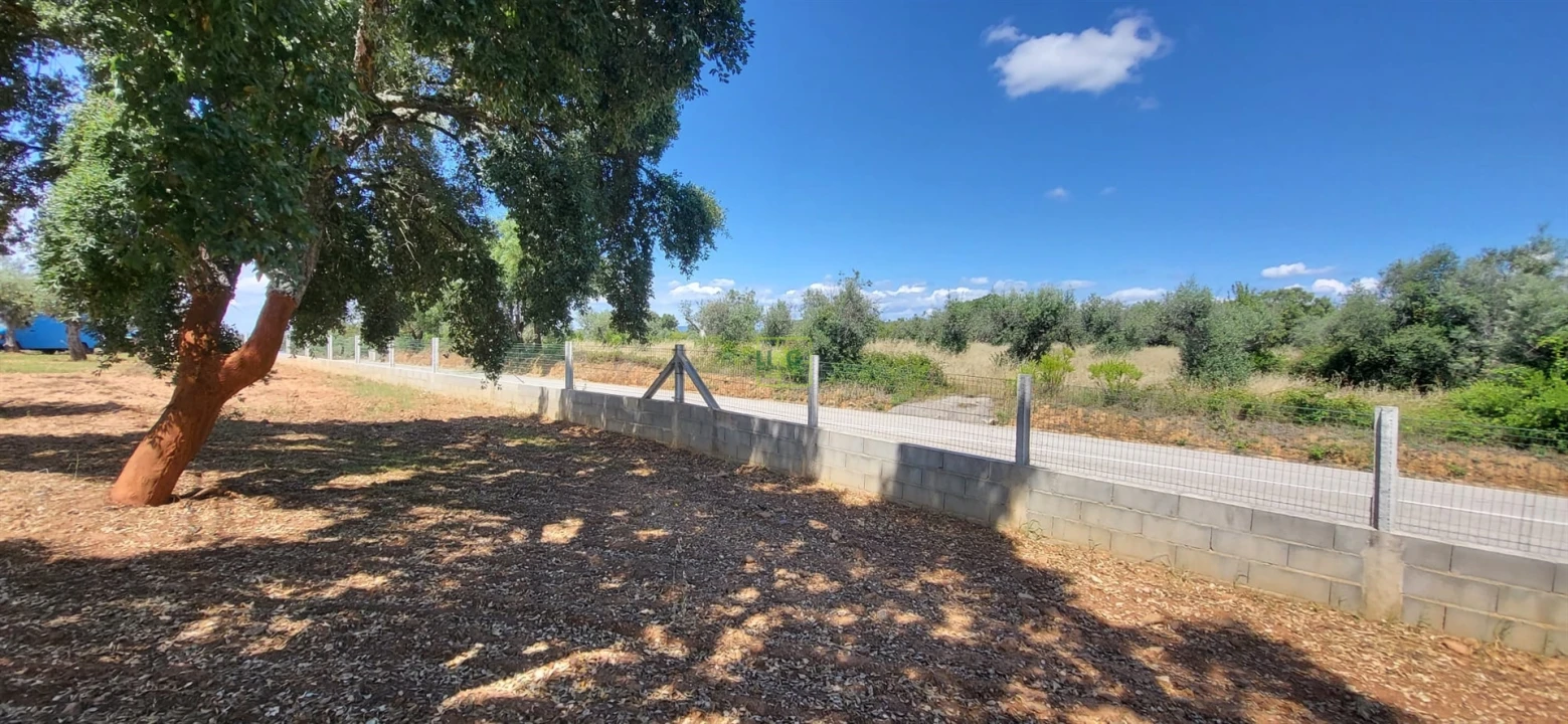 Terreno Agricola ou Rústico para Venda em Freixial e Juncal do Campo Foto 7