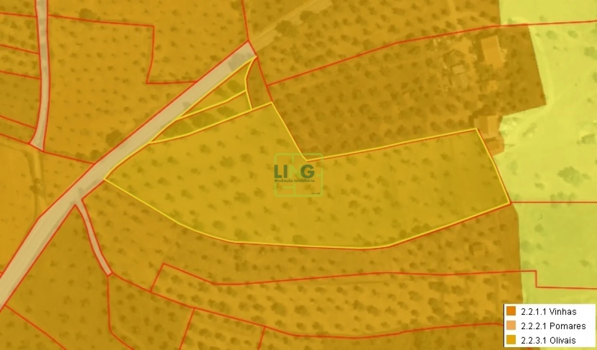 Terreno Agricola ou Rústico para Venda em Freixial e Juncal do Campo Foto 25