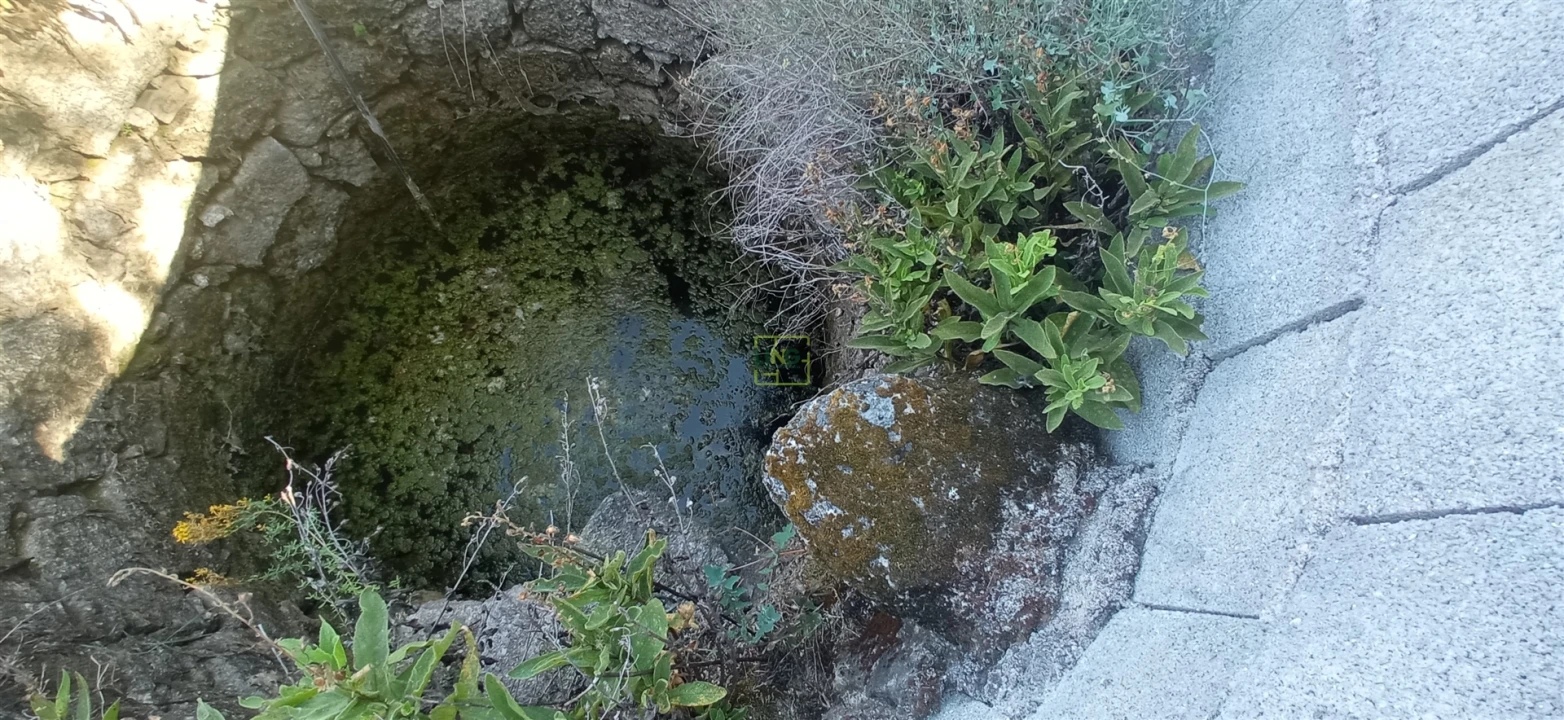 Terreno Agricola ou Rústico para Venda em Aldeia do Bispo, Águas e Aldeia de João Pires Foto 4