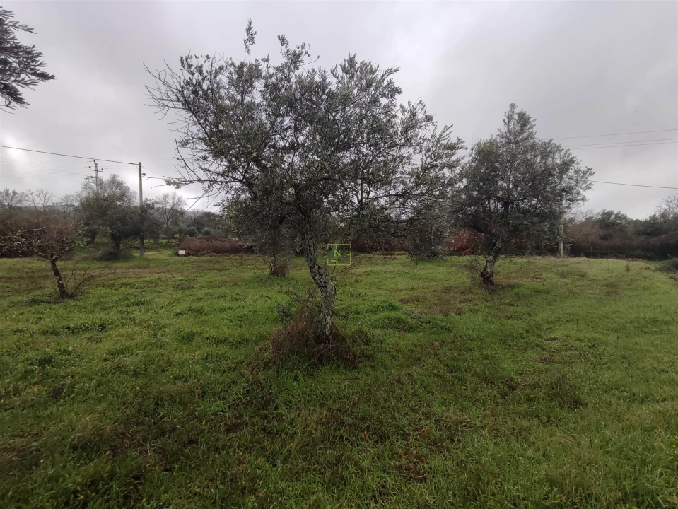 Terreno Agricola ou Rústico para Venda em Aldeia do Bispo, Águas e Aldeia de João Pires Foto 16