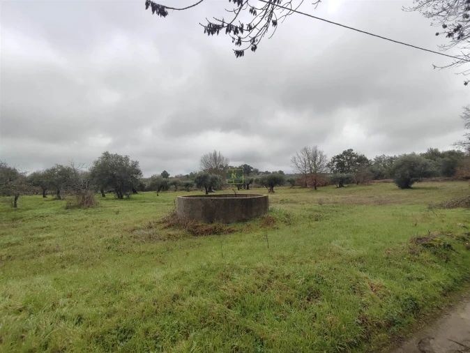 Terreno Agricola ou Rústico para Venda em Aldeia do Bispo, Águas e Aldeia de João Pires Foto 8