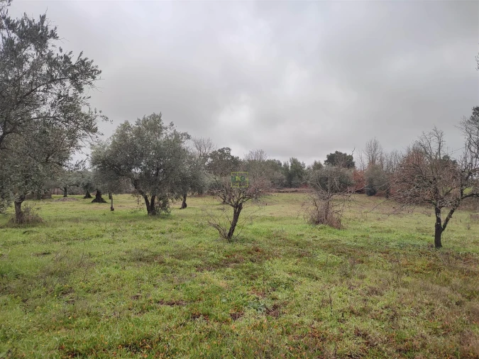 Terreno Agricola ou Rústico para Venda em Aldeia do Bispo, Águas e Aldeia de João Pires Foto 9