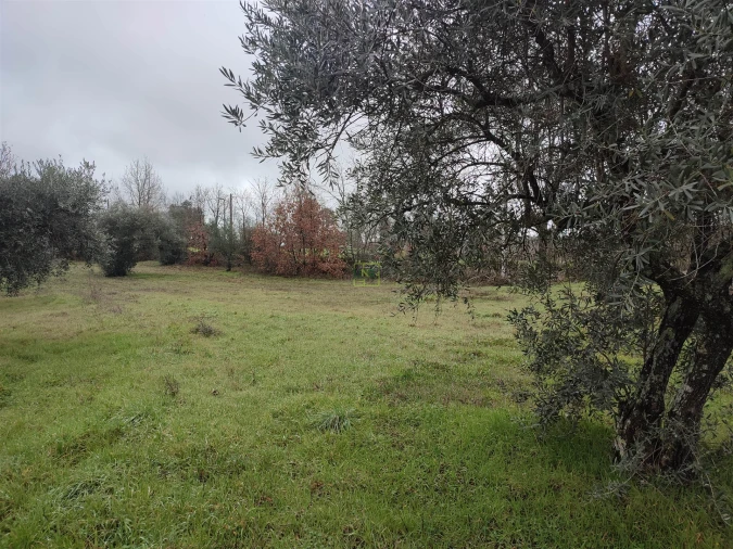 Terreno Agricola ou Rústico para Venda em Aldeia do Bispo, Águas e Aldeia de João Pires Foto 15