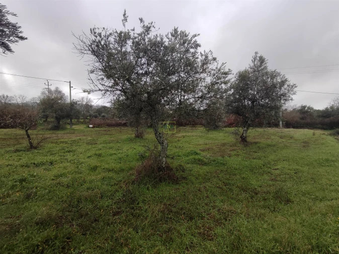 Terreno Agricola ou Rústico para Venda em Aldeia do Bispo, Águas e Aldeia de João Pires Foto 16