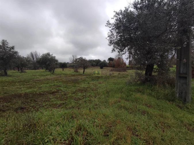 Terreno Agricola ou Rústico para Venda em Aldeia do Bispo, Águas e Aldeia de João Pires Foto 3