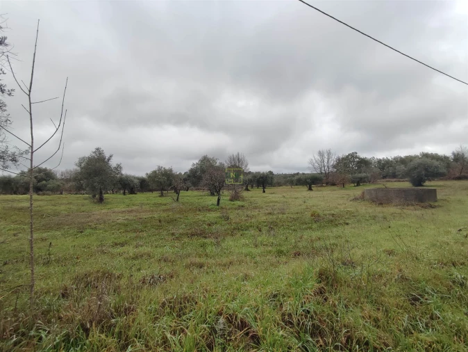 Terreno Agricola ou Rústico para Venda em Aldeia do Bispo, Águas e Aldeia de João Pires Foto 7