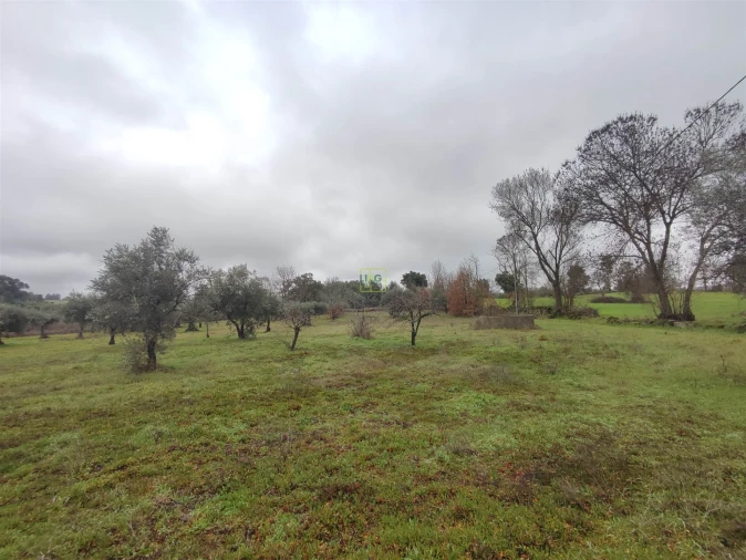 Terreno Agricola ou Rústico para Venda em Aldeia do Bispo, Águas e Aldeia de João Pires Foto 12
