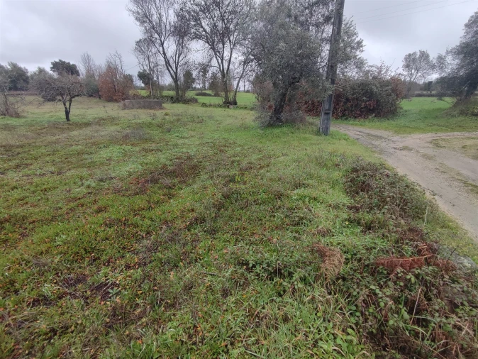 Terreno Agricola ou Rústico para Venda em Aldeia do Bispo, Águas e Aldeia de João Pires Foto 11