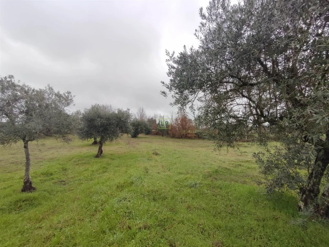 Terreno Agricola ou Rústico para Venda em Aldeia do Bispo, Águas e Aldeia de João Pires Foto 1