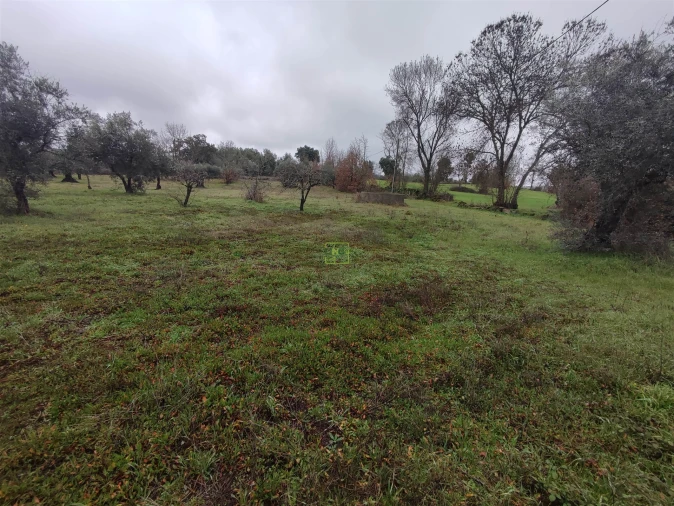 Terreno Agricola ou Rústico para Venda em Aldeia do Bispo, Águas e Aldeia de João Pires Foto 10