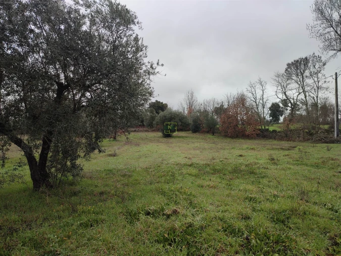 Terreno Agricola ou Rústico para Venda em Aldeia do Bispo, Águas e Aldeia de João Pires Foto 13