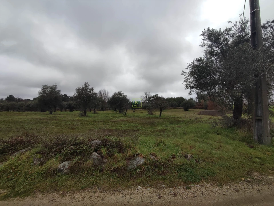 Terreno Agricola ou Rústico para Venda em Aldeia do Bispo, Águas e Aldeia de João Pires Foto 6