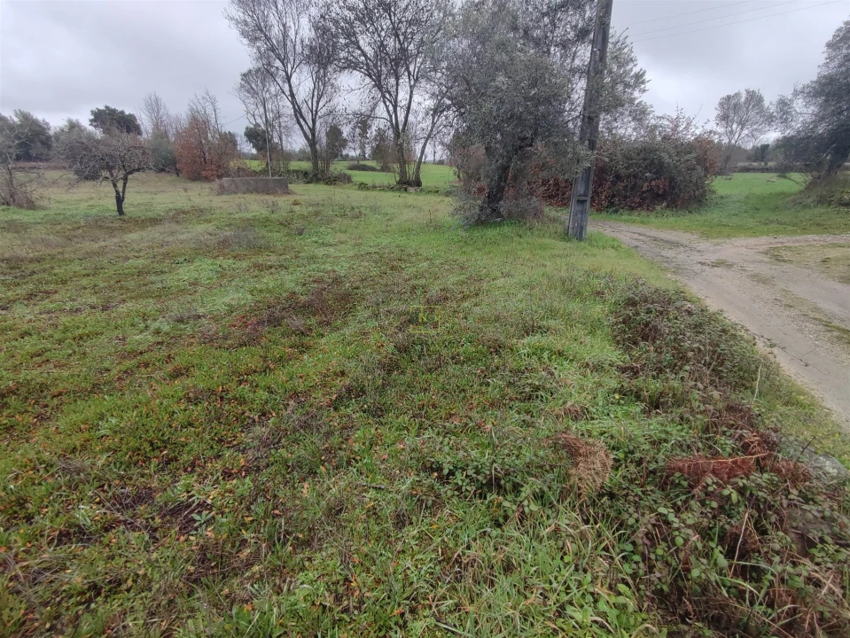 Terreno Agricola ou Rústico para Venda em Aldeia do Bispo, Águas e Aldeia de João Pires Foto 11