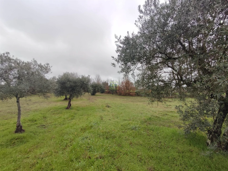 Terreno Agricola ou Rústico para Venda em Aldeia do Bispo, Águas e Aldeia de João Pires Foto 1