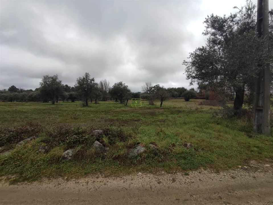 Terreno Agricola ou Rústico para Venda em Aldeia do Bispo, Águas e Aldeia de João Pires Foto 5