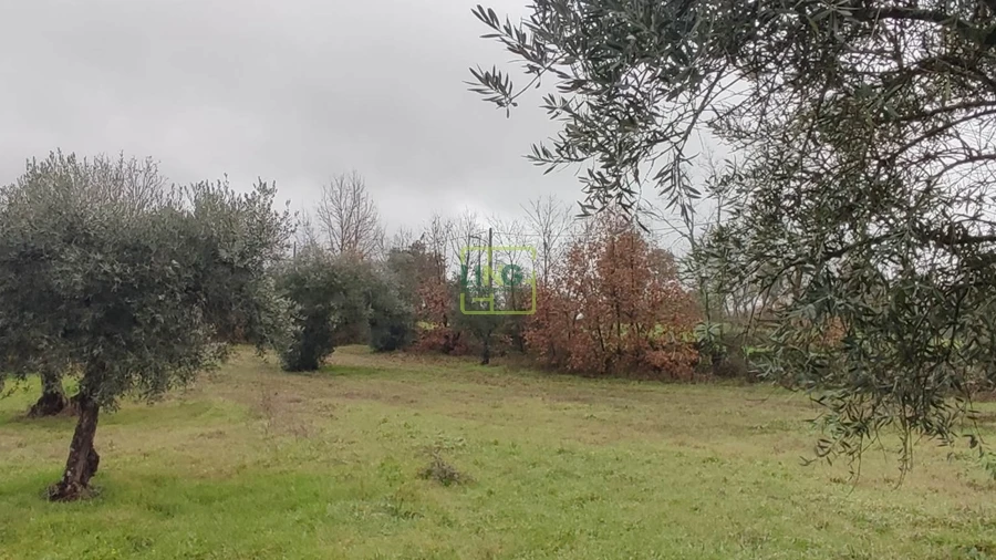 Terreno Agricola ou Rústico para Venda em Aldeia do Bispo, Águas e Aldeia de João Pires