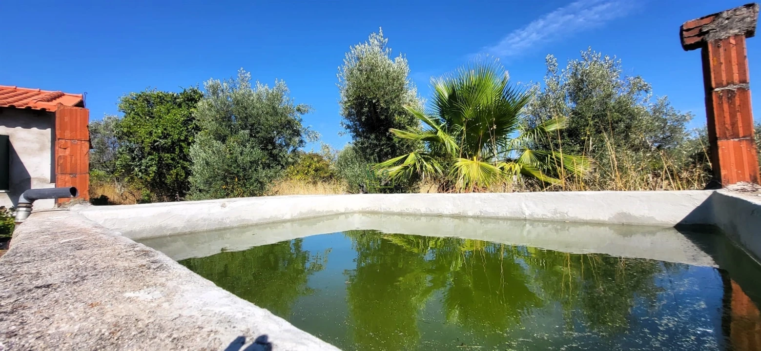 Quinta T0 para Venda em Louriçal do Campo Foto 19