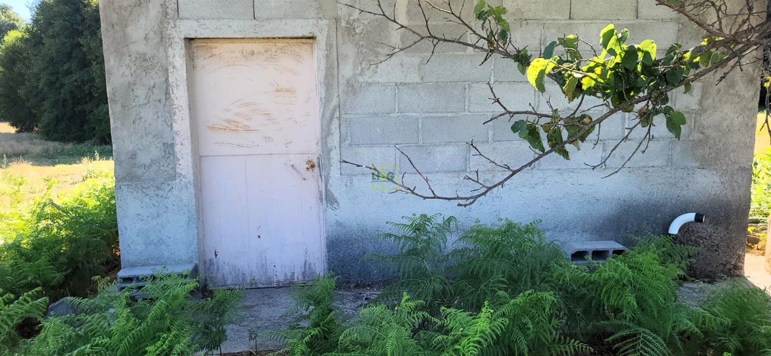 Quinta T0 para Venda em Louriçal do Campo Foto 14