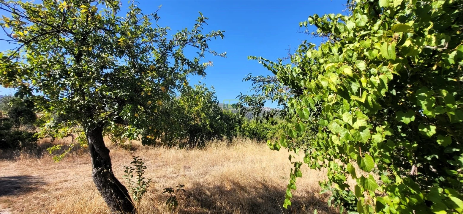Quinta T0 para Venda em Louriçal do Campo Foto 23