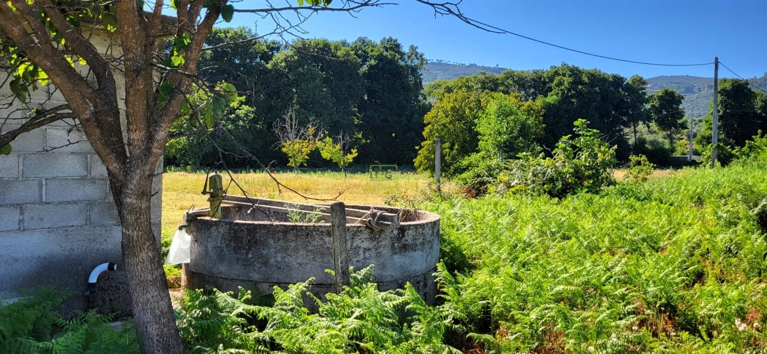 Quinta T0 para Venda em Louriçal do Campo Foto 12