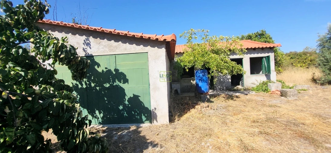 Quinta T0 para Venda em Louriçal do Campo Foto 16