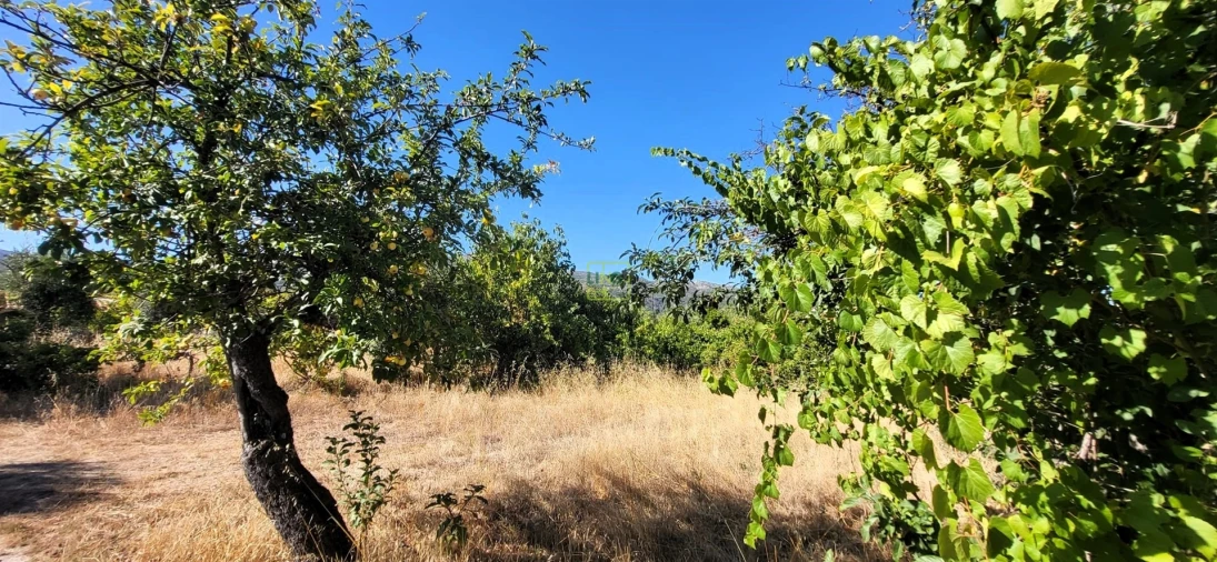 Quinta T0 para Venda em Louriçal do Campo Foto 23