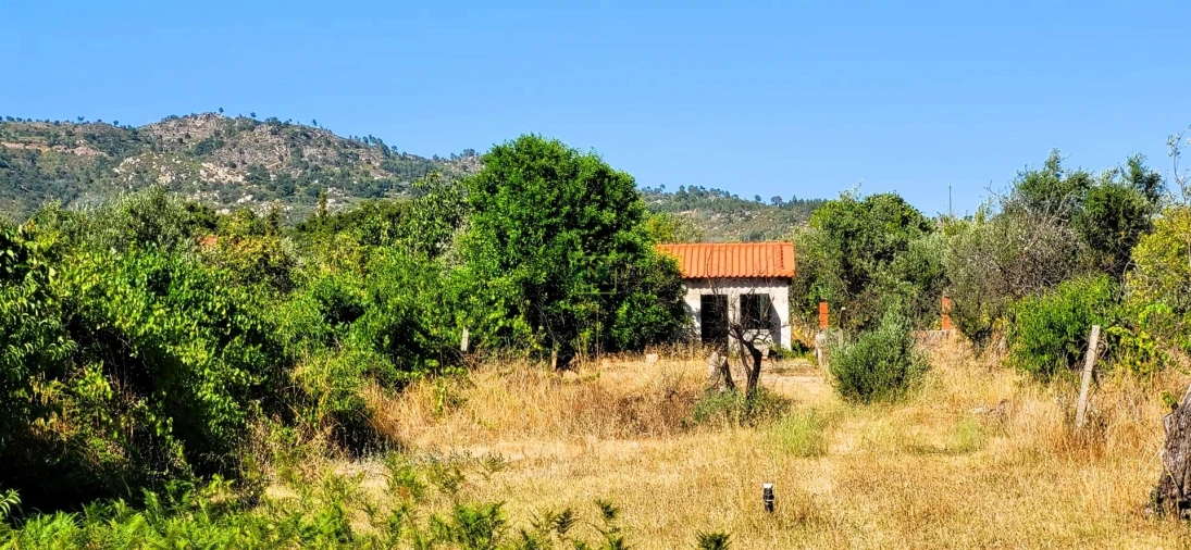 Quinta T0 para Venda em Louriçal do Campo Foto 10